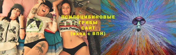 spice Алексин