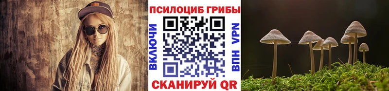 купить наркотики сайты  Благовещенск  Галлюциногенные грибы мицелий 