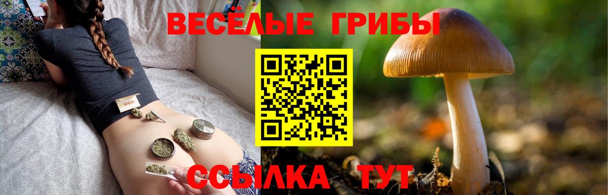 Псилоцибиновые грибы MAGIC MUSHROOMS  Вход с VPN  Благовещенск 